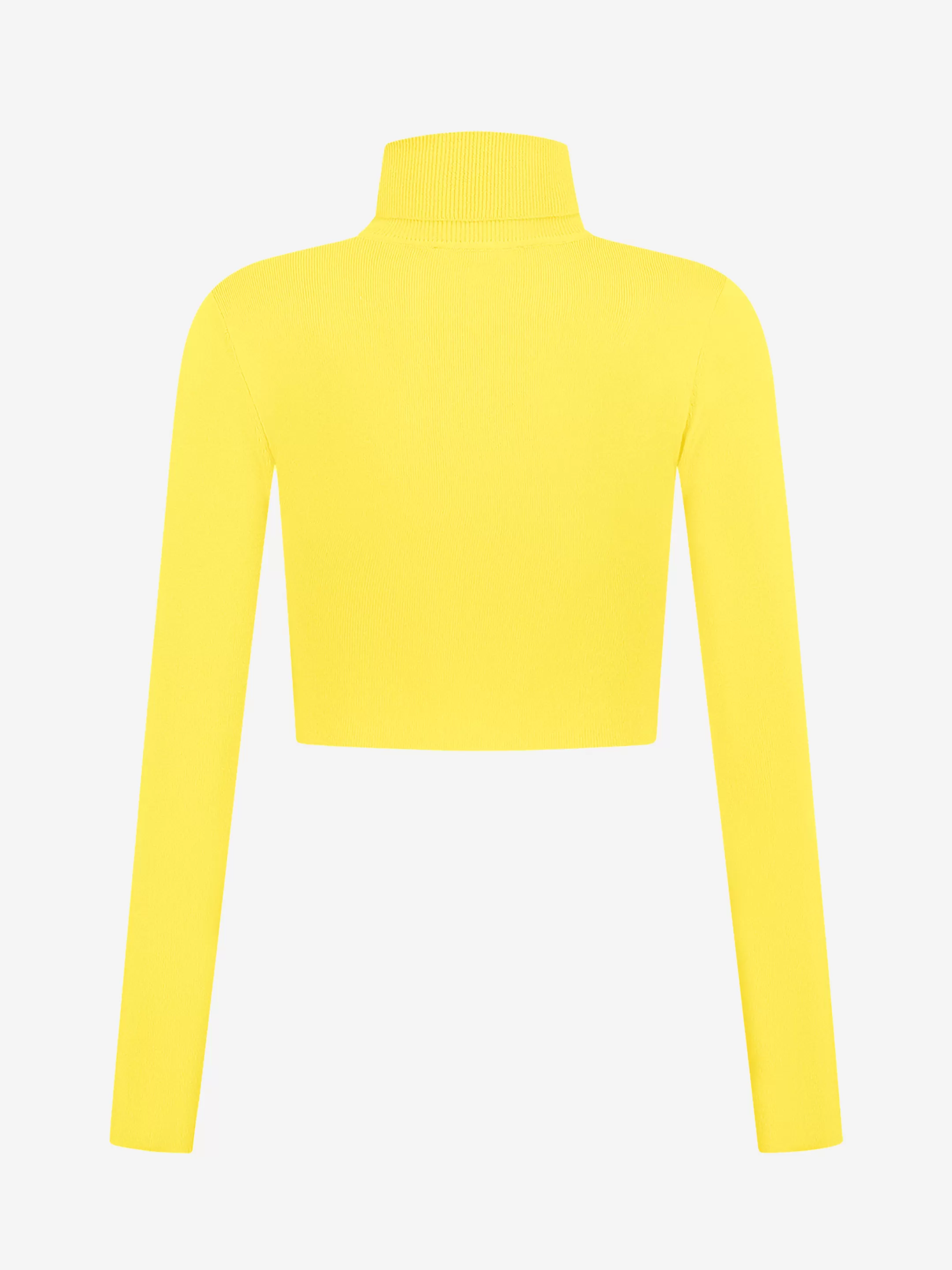 Flash Sale NIKKIE Fitted cropped longsleeve with turtle neck    Corn Yellow