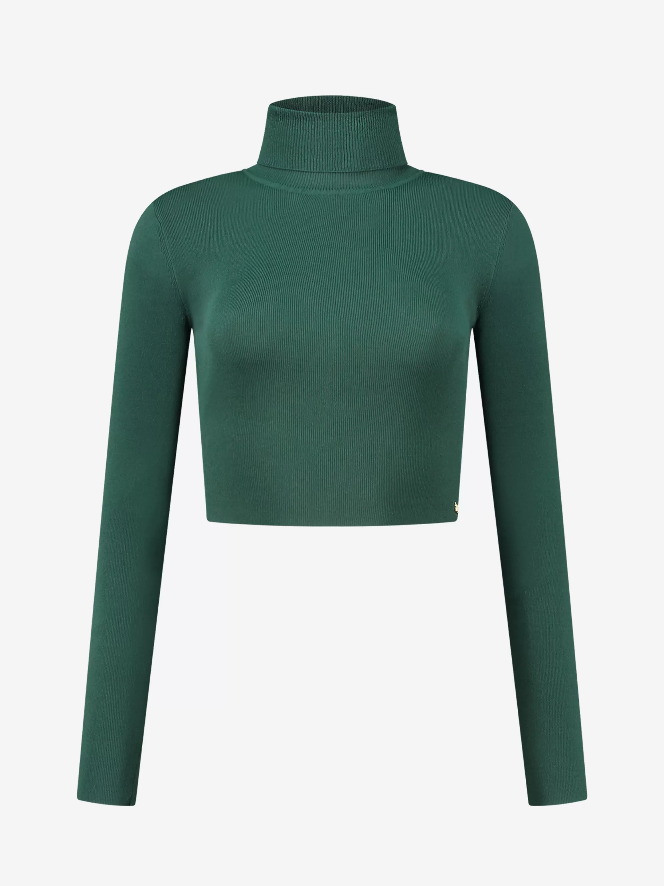 Cheap NIKKIE Fitted cropped longsleeve with turtle neck    Garden Green