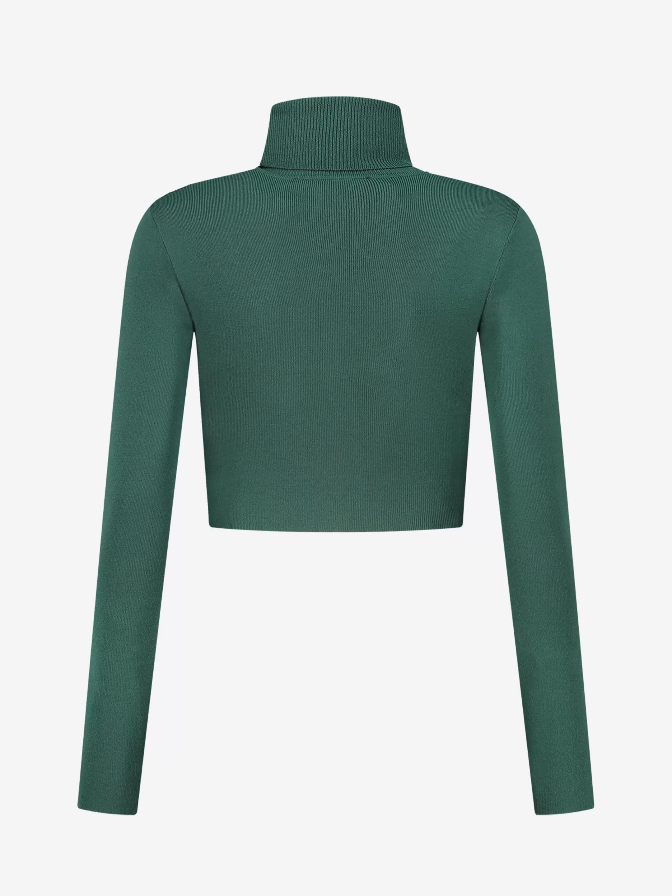 Cheap NIKKIE Fitted cropped longsleeve with turtle neck    Garden Green