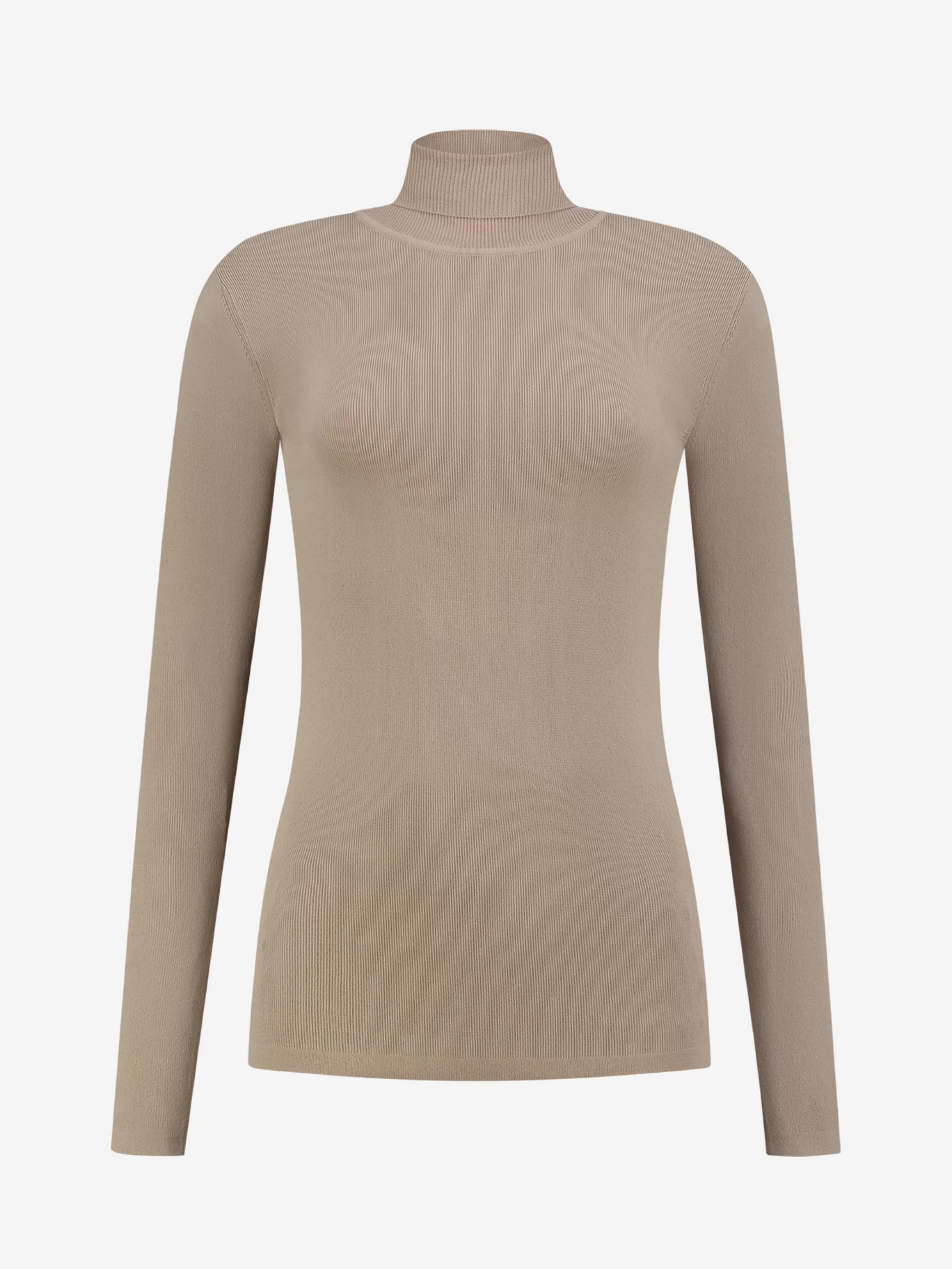 Discount NIKKIE Fitted top with turtle neck Dust