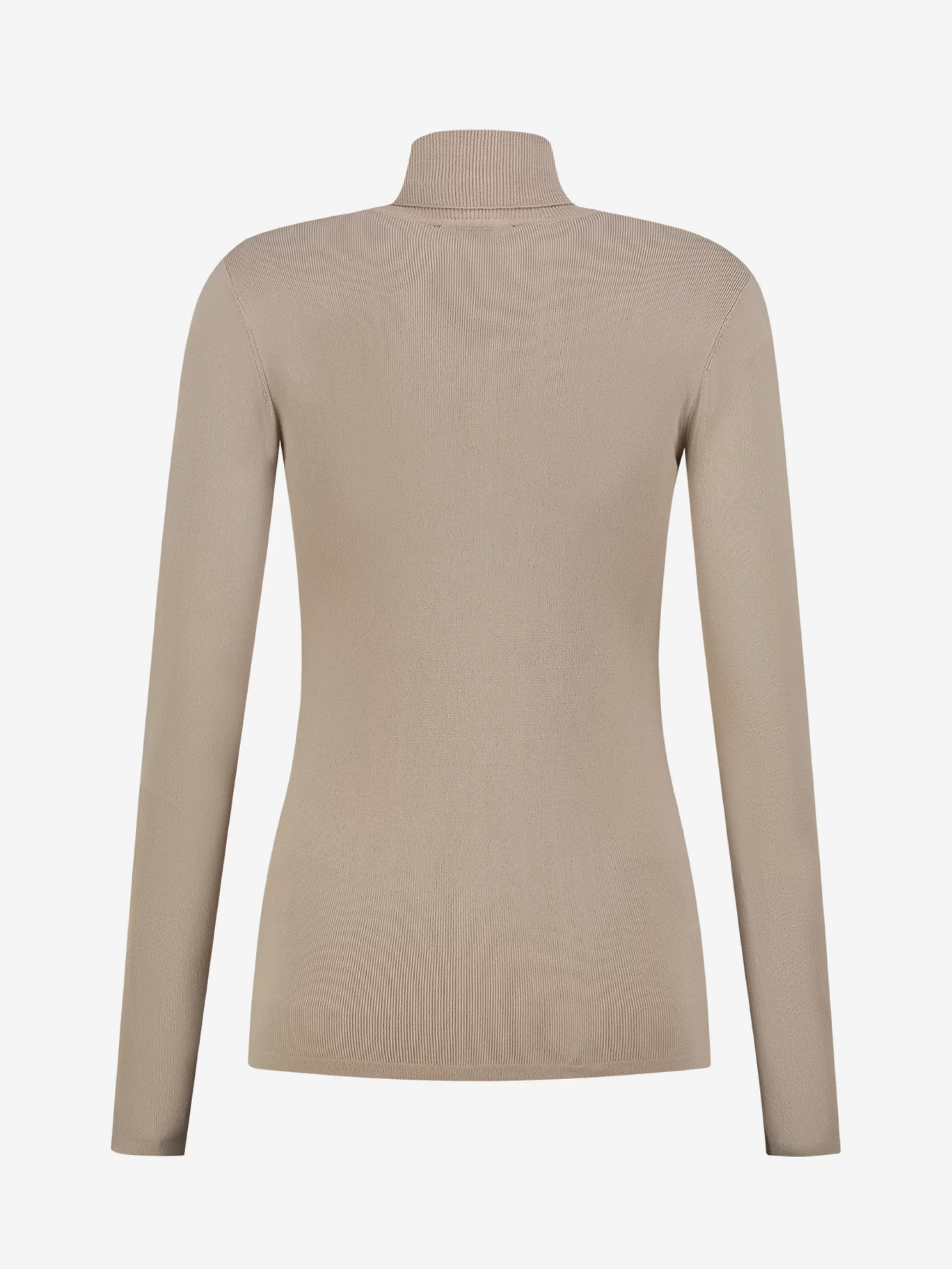 Discount NIKKIE Fitted top with turtle neck Dust