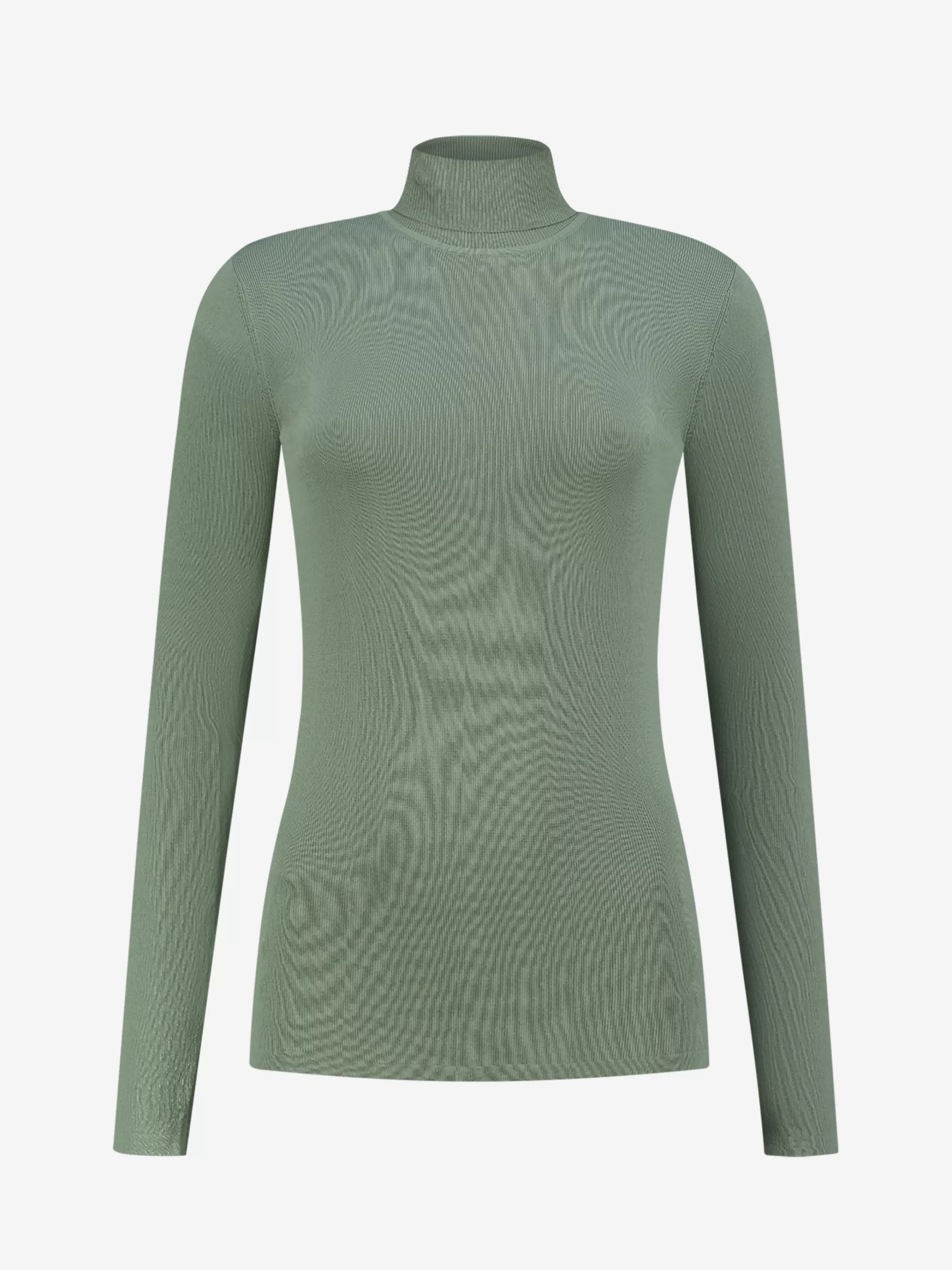 Clearance NIKKIE Jolie Turtle Top Sage Green