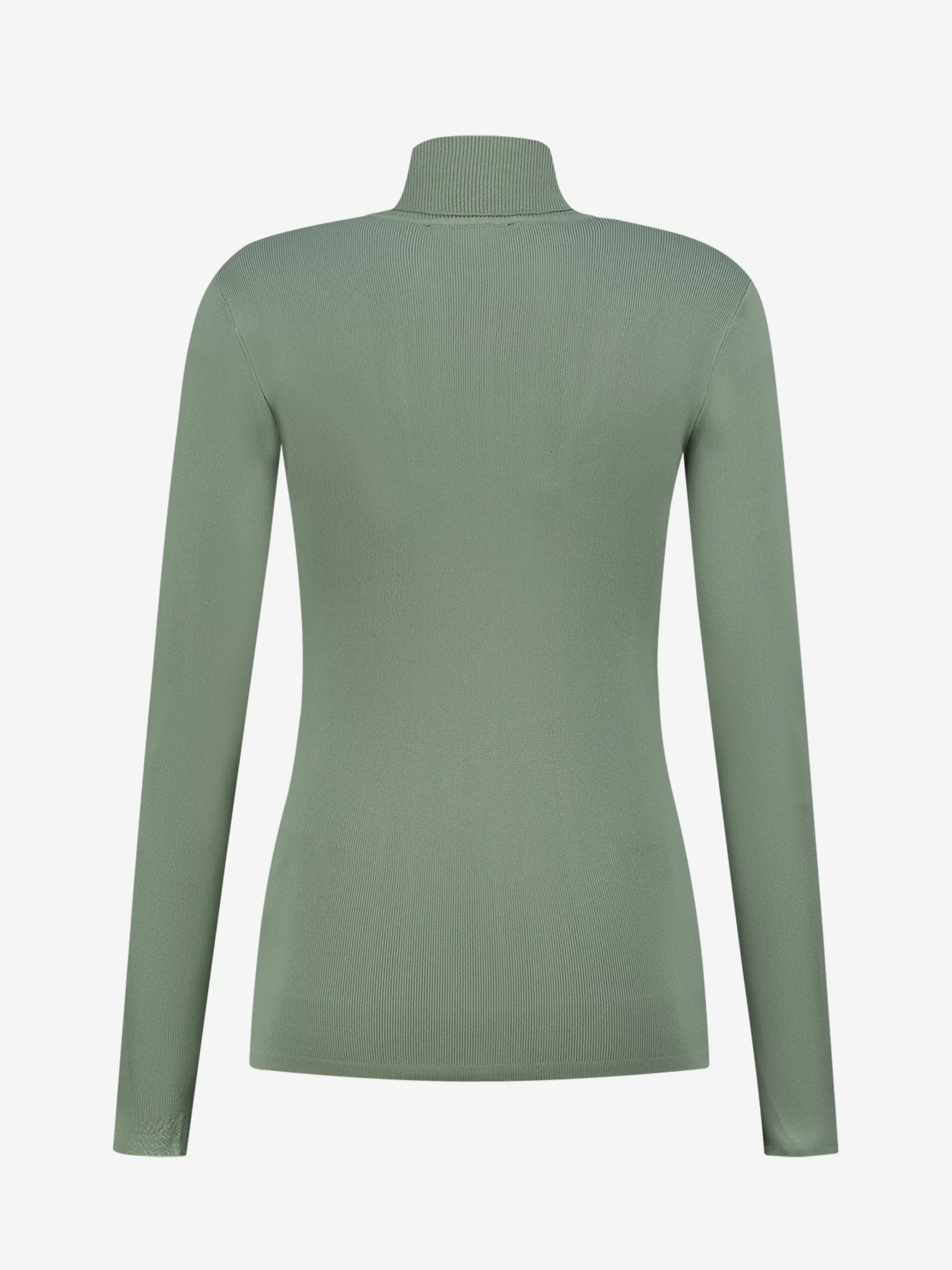 Clearance NIKKIE Jolie Turtle Top Sage Green