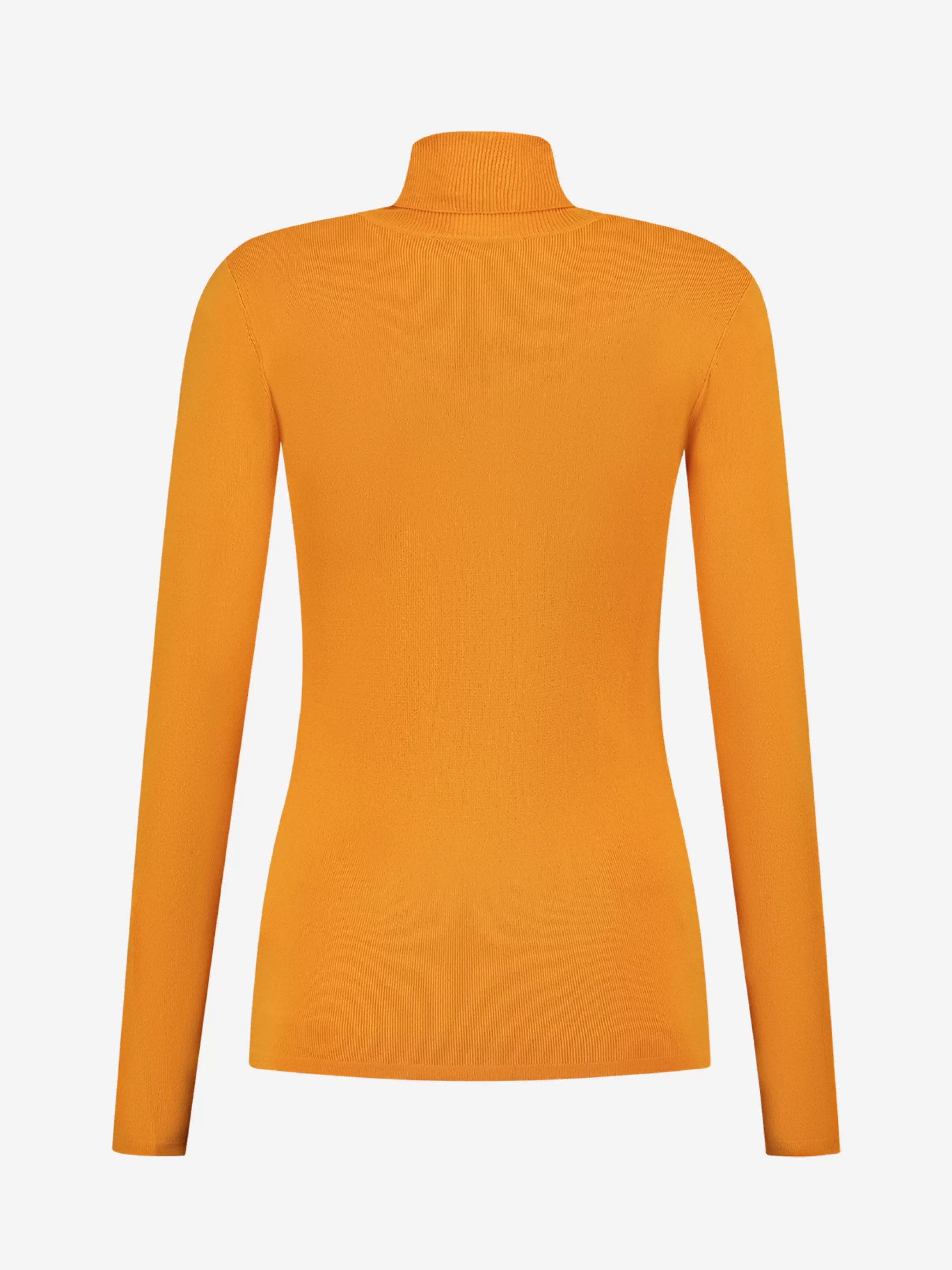 Shop NIKKIE Jolie Turtle Top Apricot